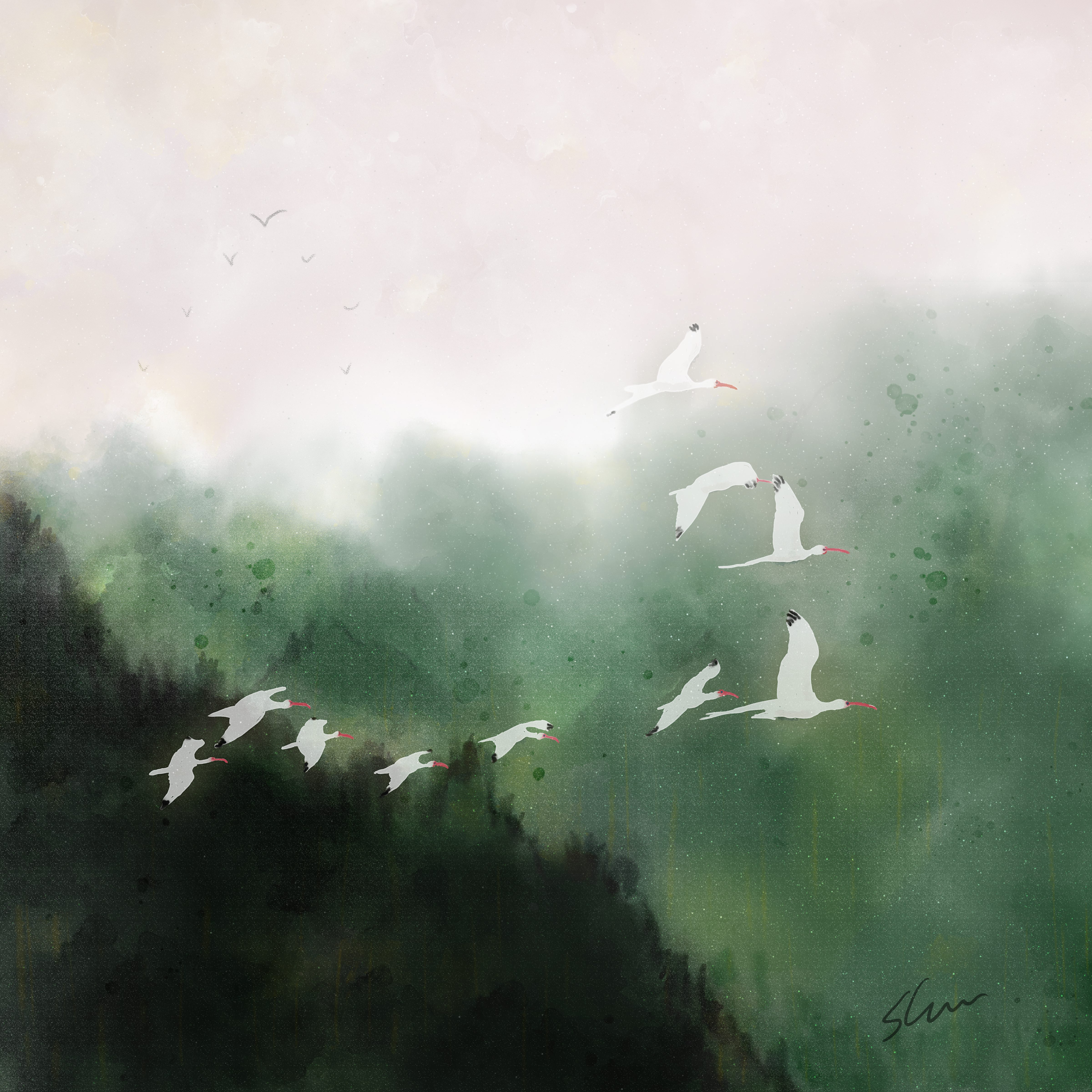 Lost Woods