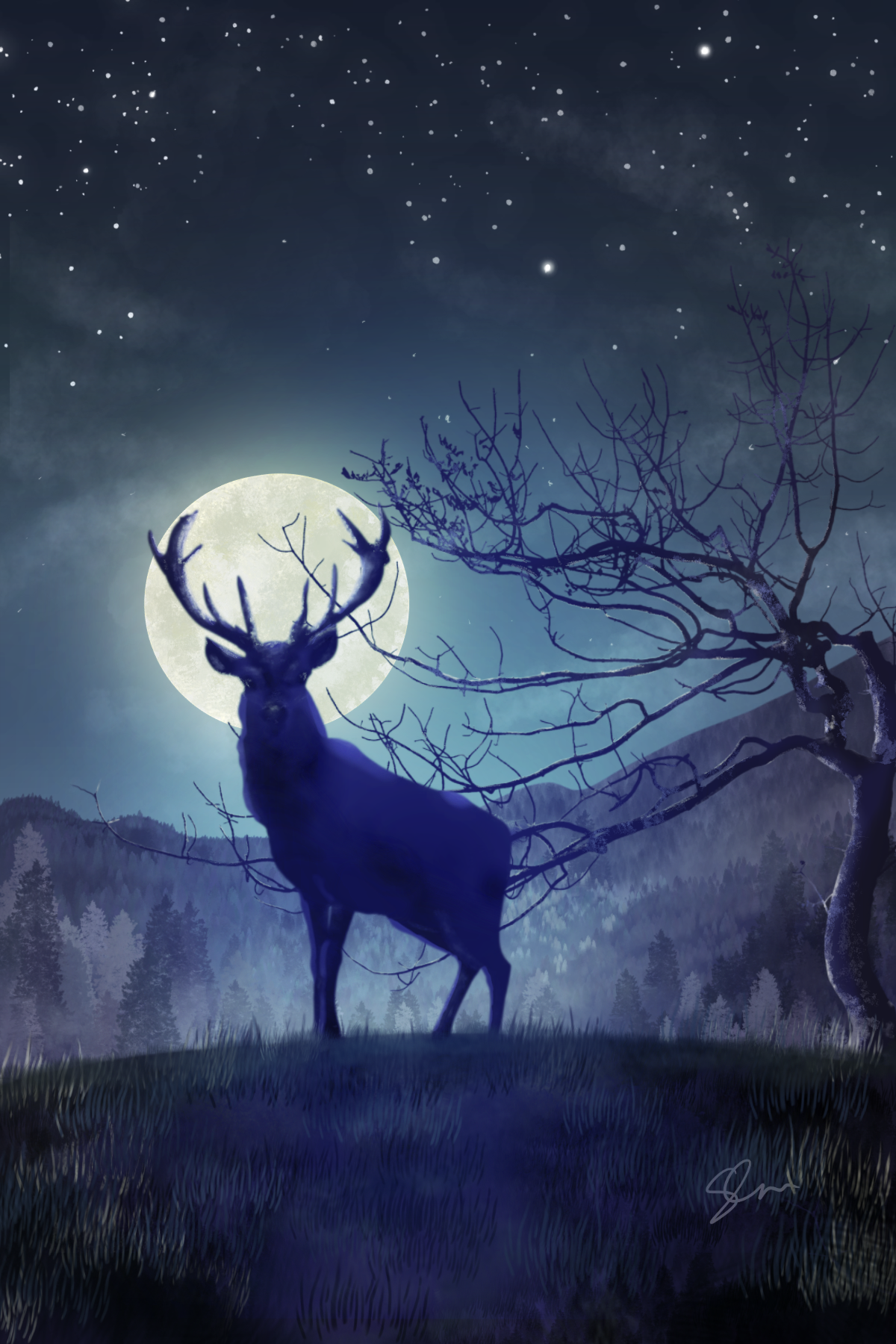 Moonlit Winter
